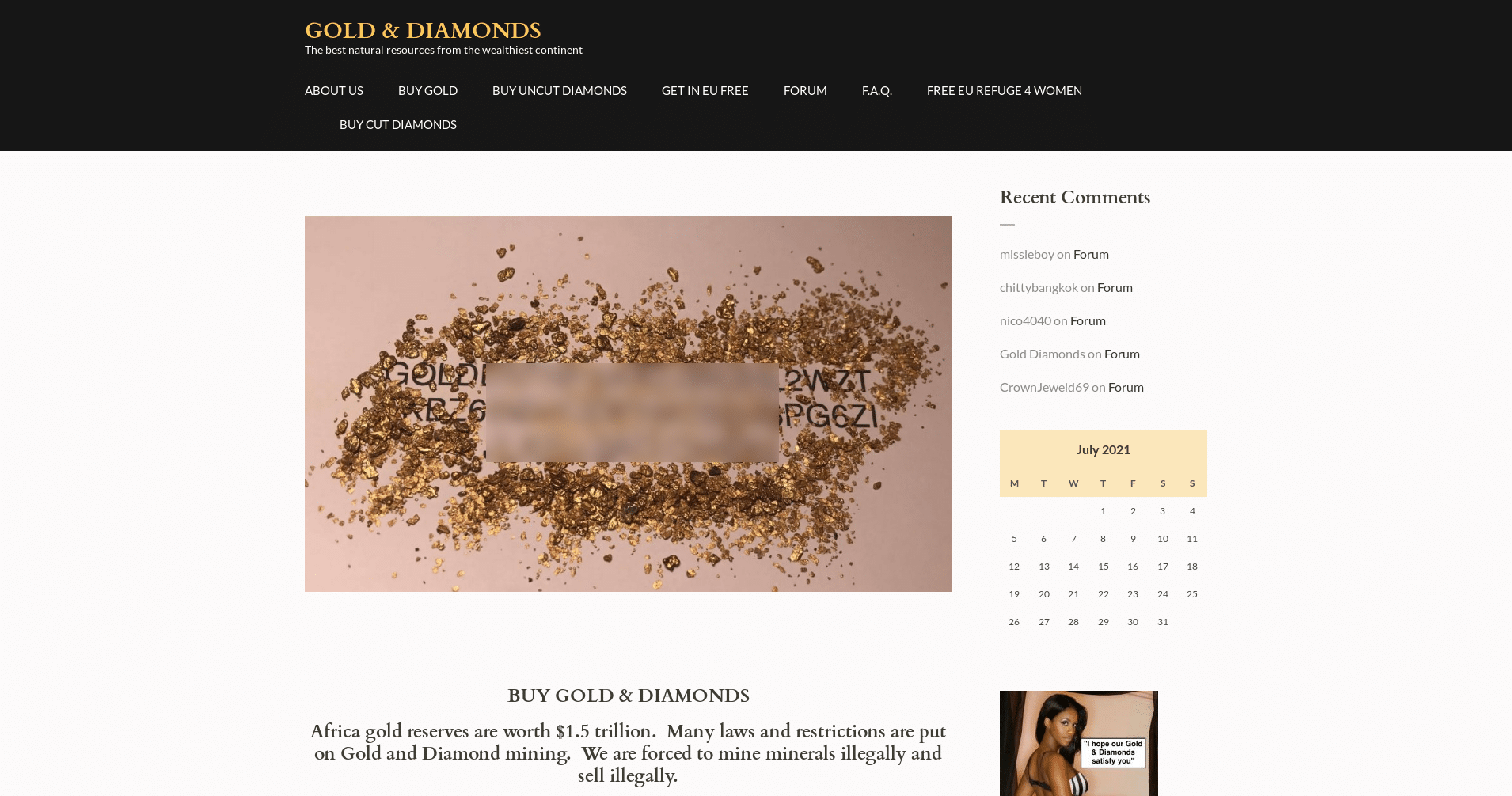 Page d’accueil du site Gold & Diamonds